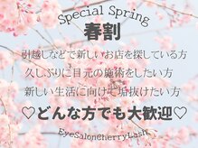 アイサロン チェリーラッシュ(Eye Salon Cherry Lash)