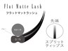 ２回目の方☆LINE登録済みの方限定！【フラットラッシュ】40本　￥4060