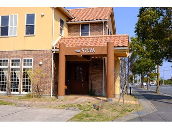 オシャレハウスシルバ(OshareHausuSILVA)/外観