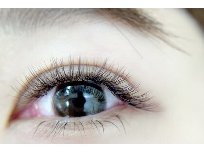 アムール(AMOUR)の写真