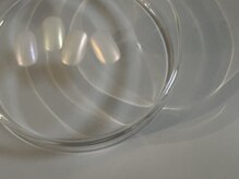 シグネイル(Signail)の雰囲気（Instagram“@signail_plus”）