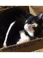 ジュレアイ(JurerEye)&nbsp;動物全般大好きです！実家では猫を飼ってます♪