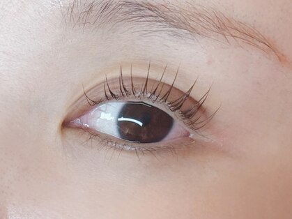 グレース(grace)の写真