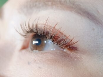 ダンケ(DANKE)/DANKEオリジナルカラー