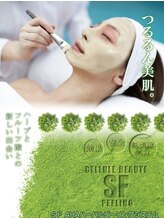 トータルエステティック レイ(Lay)/ハーバルビーリング