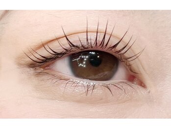 ルアナプラス 中目黒(Luana+)/まつ毛パーマ(パリジェンヌもOK)