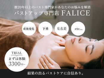 バスト専門店 フェリーチェ 新宿店(FALICE)