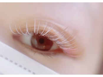 美曜日/カラーラッシュ１４０本