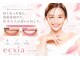 エクシアホワイト SOKA(ecxia white)の写真
