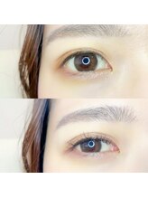 ルピナス(Lupinus)/LEDフラットラッシュ120本