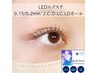 【LEDエクステ/オフ込】フラットラッシュ[190本]¥12,250、[200本]¥12,580