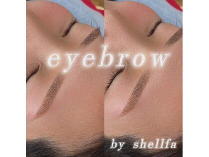 シェルファ(SHELLFA)の写真