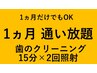 【1ヶ月通い放題】1ヶ月のみも◎ 15分×2回照射&クリーニング ¥22000（税込）