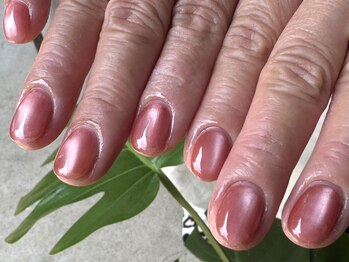 シエル(Ciel)/人気のマグネット