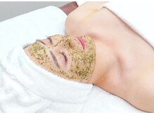 オリーブ コクブンジ(Olive kokubunji)/塗布