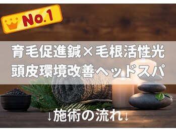 ヘッドサイエンス(HEADSCIENCE)/育毛促進鍼×毛根活性光