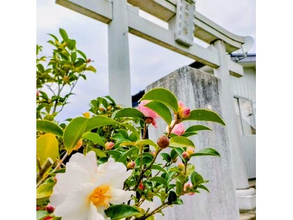 ポーラ 八乙女店(POLA)の写真