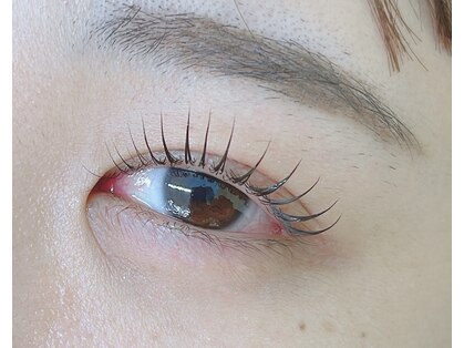 ナッキー(nacky)の写真