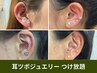 耳つぼジュエリー【つけ放題】パーツが選べる耳つぼジュエリー