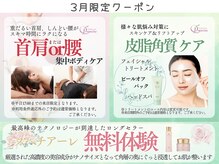 サロンラペーシュ(Lapeche)の雰囲気(【3月限定】年度末の繁忙期は集中ケア/乾燥でごわついた肌のケア)