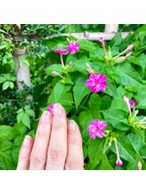 桃の木 吉祥寺店/夏に映える自爪クリアネイル