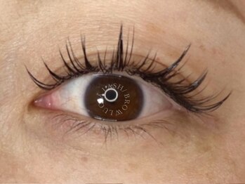 ルシアラッシュブロウ 心斎橋(LUCIALASHBROW)/ワンホン/フラットラッシュ140本