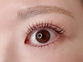 アン(un)/ラッシュリフト上下