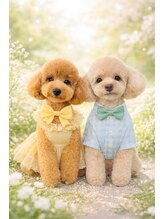 エミー(Emmy)&nbsp;Eriko 