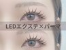▼【OPEN記念】アンドヘルシー / LEDフラット80~120本×ラッシュリフト▼