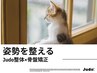 【姿勢を整える｜反り腰・猫背・巻き肩】Judo整体×骨盤矯正 <全身> 60分