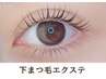 【目ヂカラUP!】下まつげエクステ両目40本￥4400