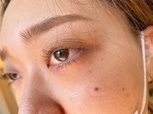 レット(lette)/ディープオリーブ　210本　