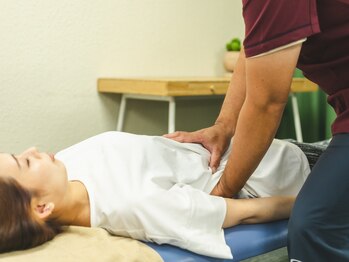 カイロプラクティックサロン1/24/内臓へもアプローチ