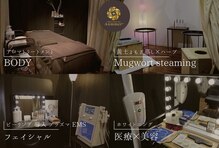 アンマープラス(Anmmer+)