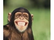 eあたま/脳のデトックス