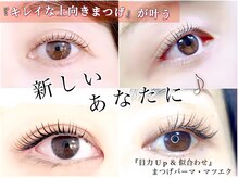 アンベリイルラッシュ(Embellir Lash)