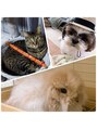 アリスリー 上大岡最戸店(ArisLy) 実家には、猫のぶい、うさぎのつむぎ、犬のここあがいます♪