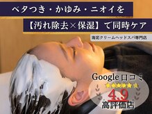海ここち