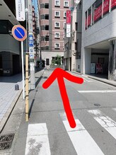 スンダリ(Sundari)/突き当りまで