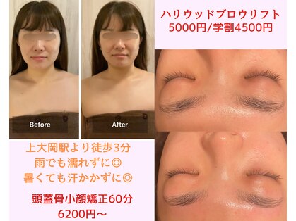 パピヨン(papillon)の写真