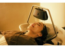 ゼン 銀座本店(ZEN)/全てのメニューに頭浸浴を。