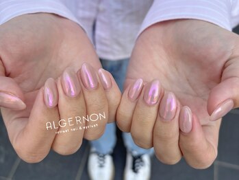 アルジャーノン リトリート(ALGERNON retreat)/人気のオーロラ♪