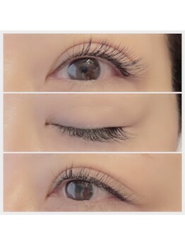 シェノン(chainon)/フラットラッシュ×160本