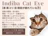 上半身のコリ むくみ 重だるさ ヘッドスパ【インディバCat Eye】100分エステ