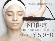 エンビロンサロン エイジングルーム ラヴィーア(Lavia)の雰囲気(あらゆる角度からアプローチし、お肌分析を行います。エンビロン)