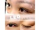 ビレボ アイラッシュココ(BEREVO eyelash.COCO)の写真