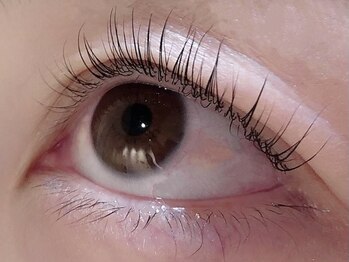 カラン 焼津店(CALIN)/ラスティングカール