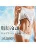 GW明け食べ過ぎに♪【お腹　腰肉　】脂肪冷却2カップ+キャビ＋マッサージ