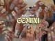 ジェミニ(GEMINI)の写真
