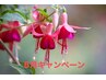 5月キャンペーン。リラク整体60分4500円→4300円。（リピーターの方がのみ）